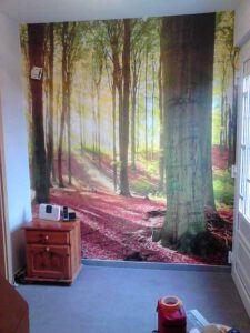 DSC_0011-David-Stock